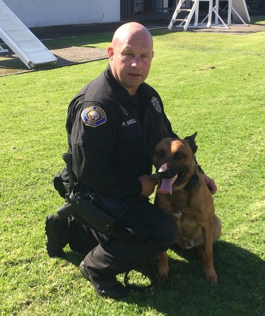 Lieutenant Michael Pennino, LBPD Narcotics Division