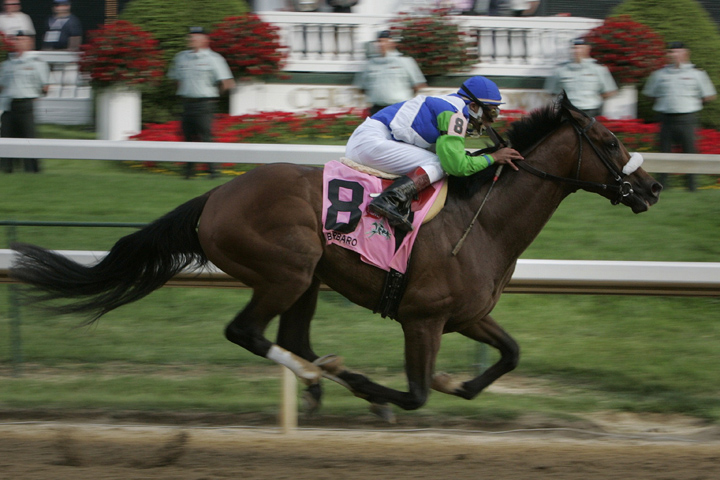 HorseRacing03.JPG