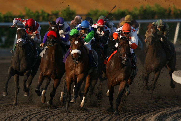 HorseRacing05.JPG