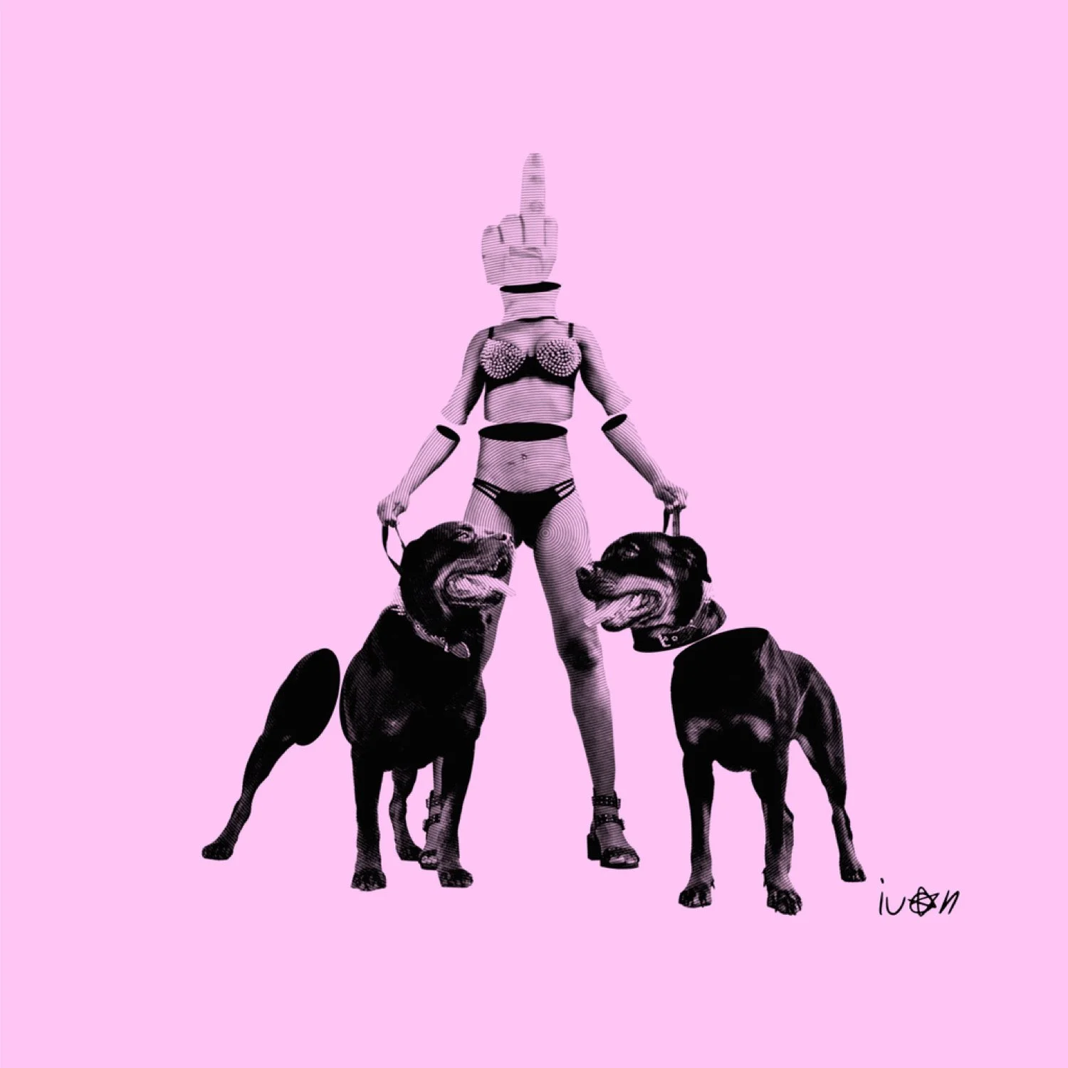 Miami-Sliced-Rottweiler-Marc-Schmidt.jpg