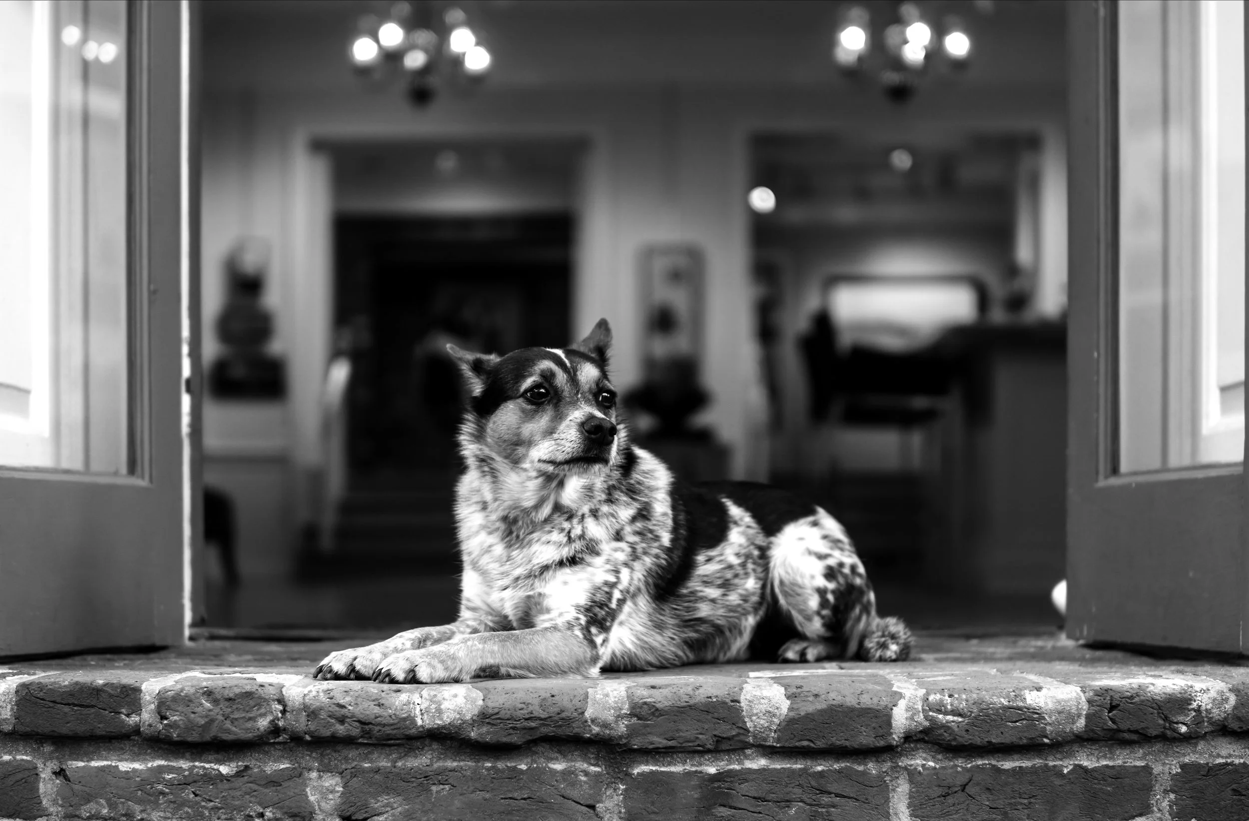 The Greeter.jpg