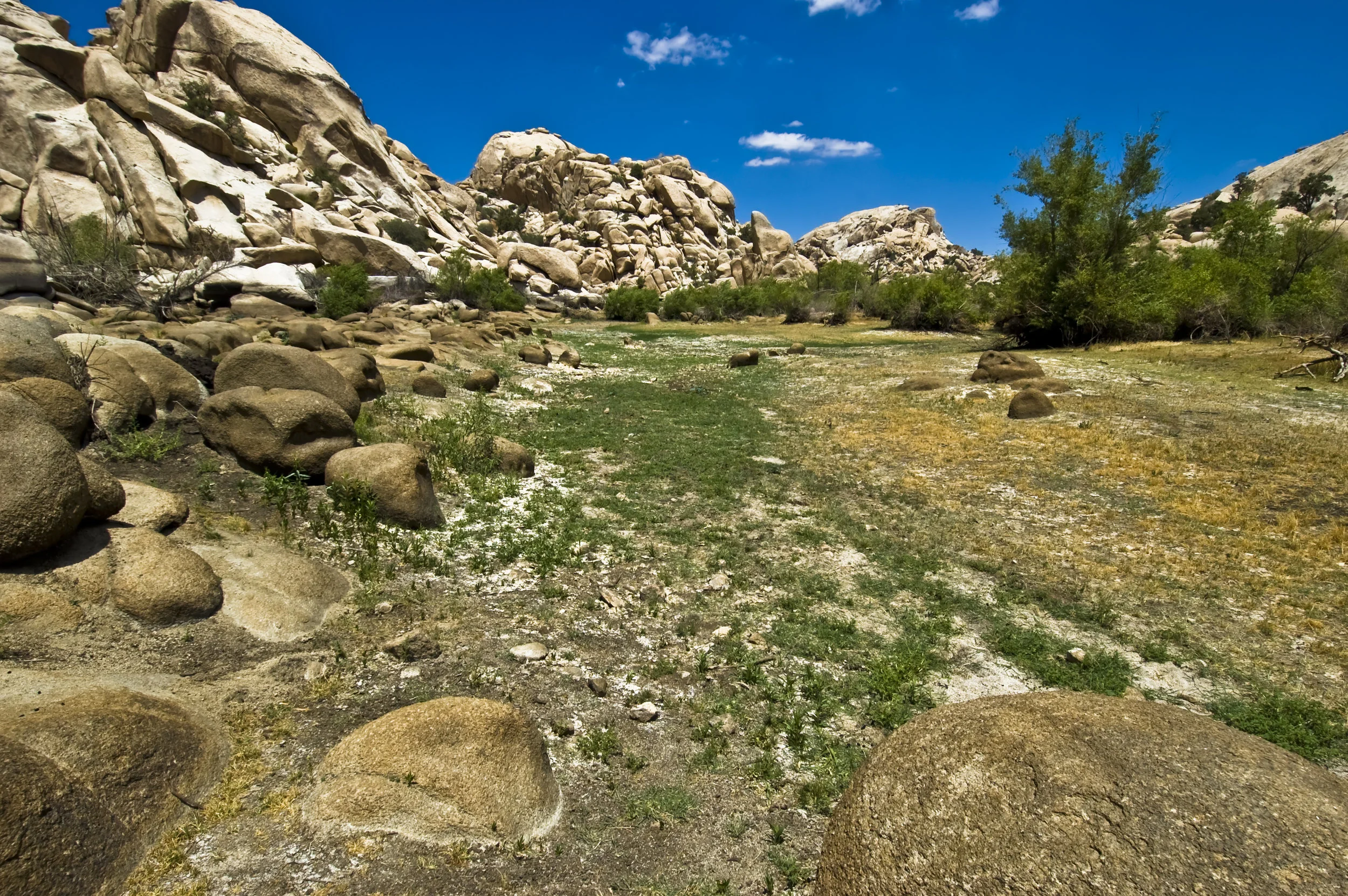Desert Fields.jpg