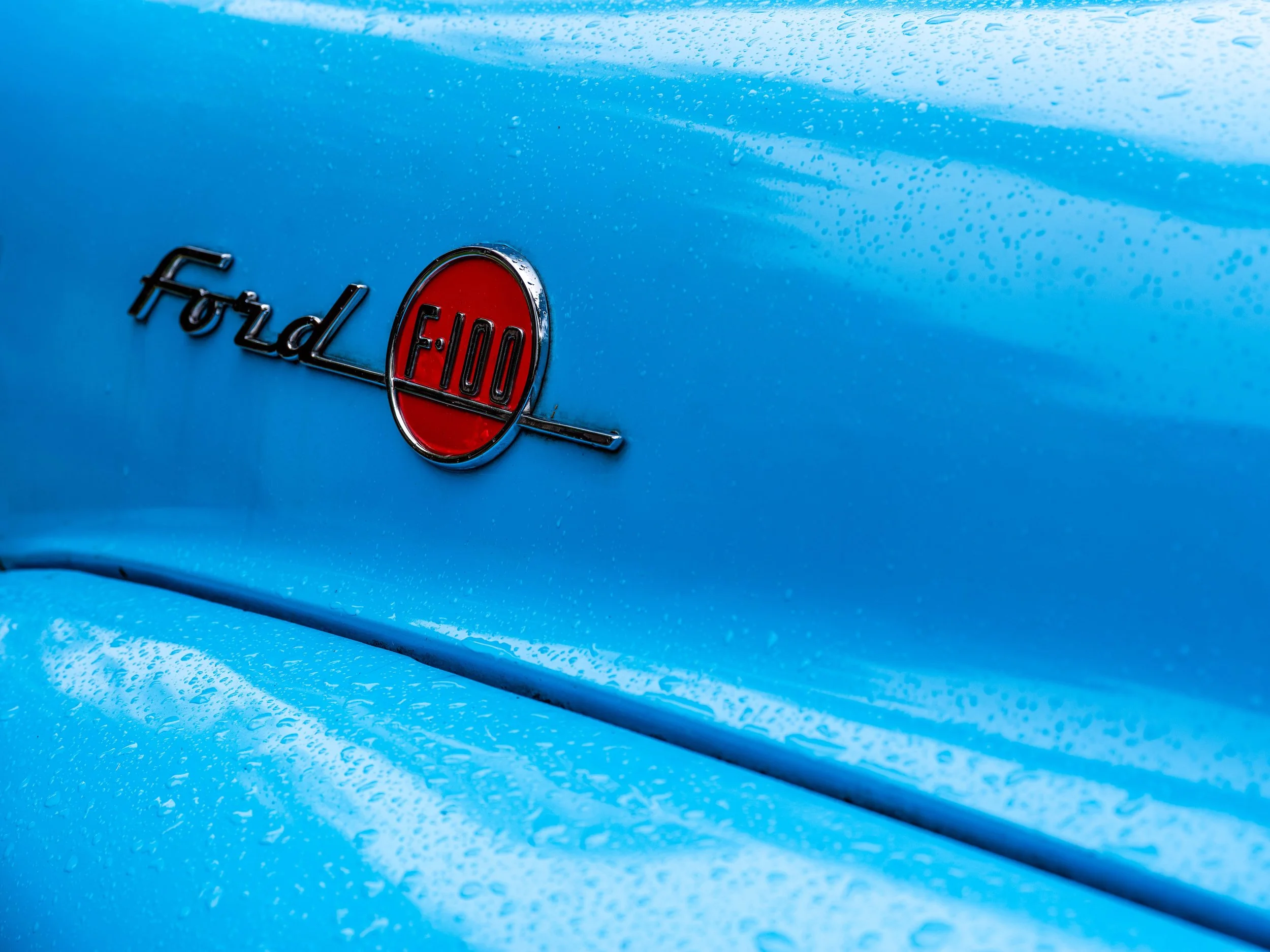 F100_01_SM.jpg