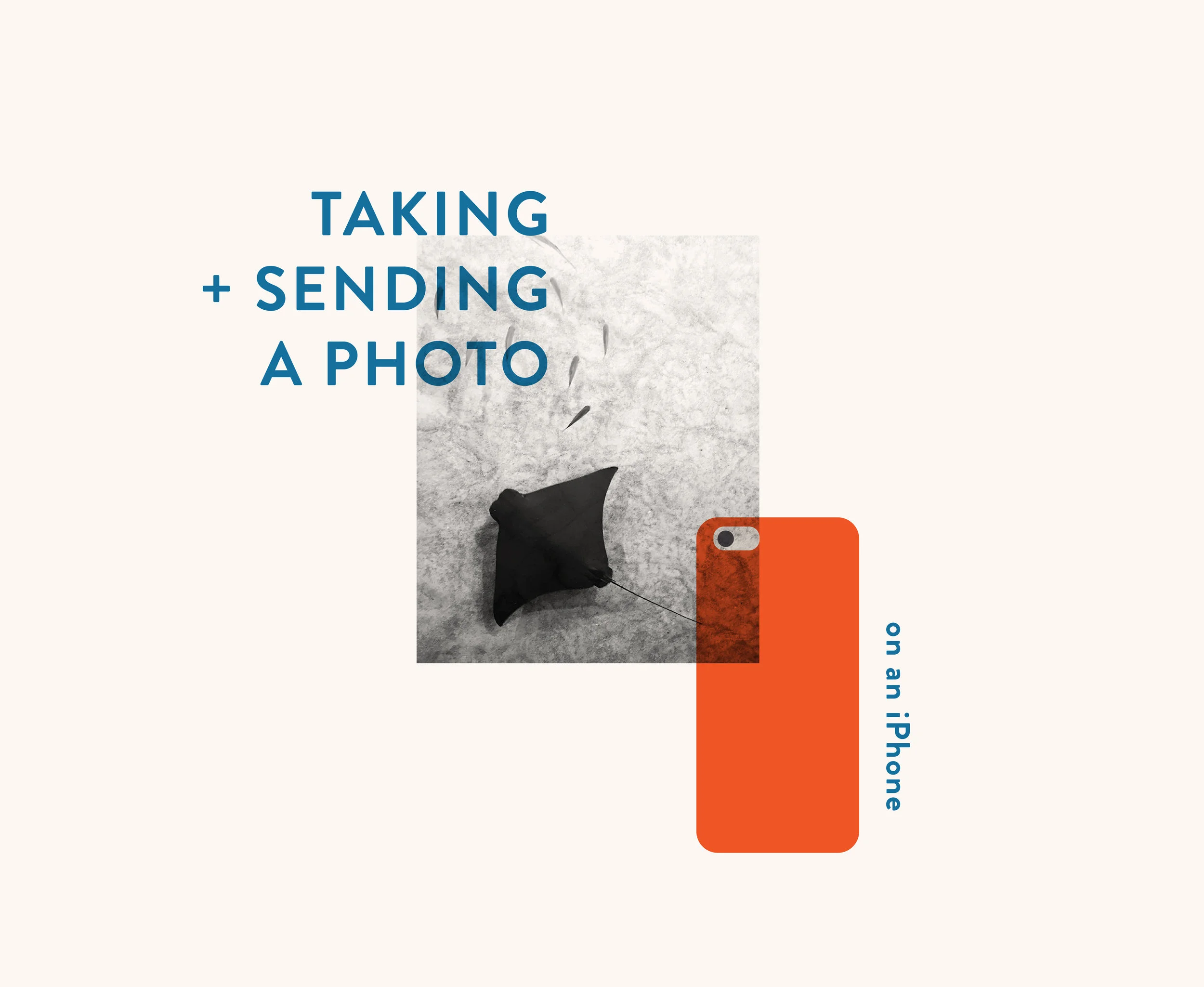 iphone project Sara Spielman.jpg