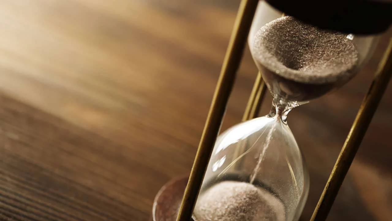 Secret to Violet's Longevity 