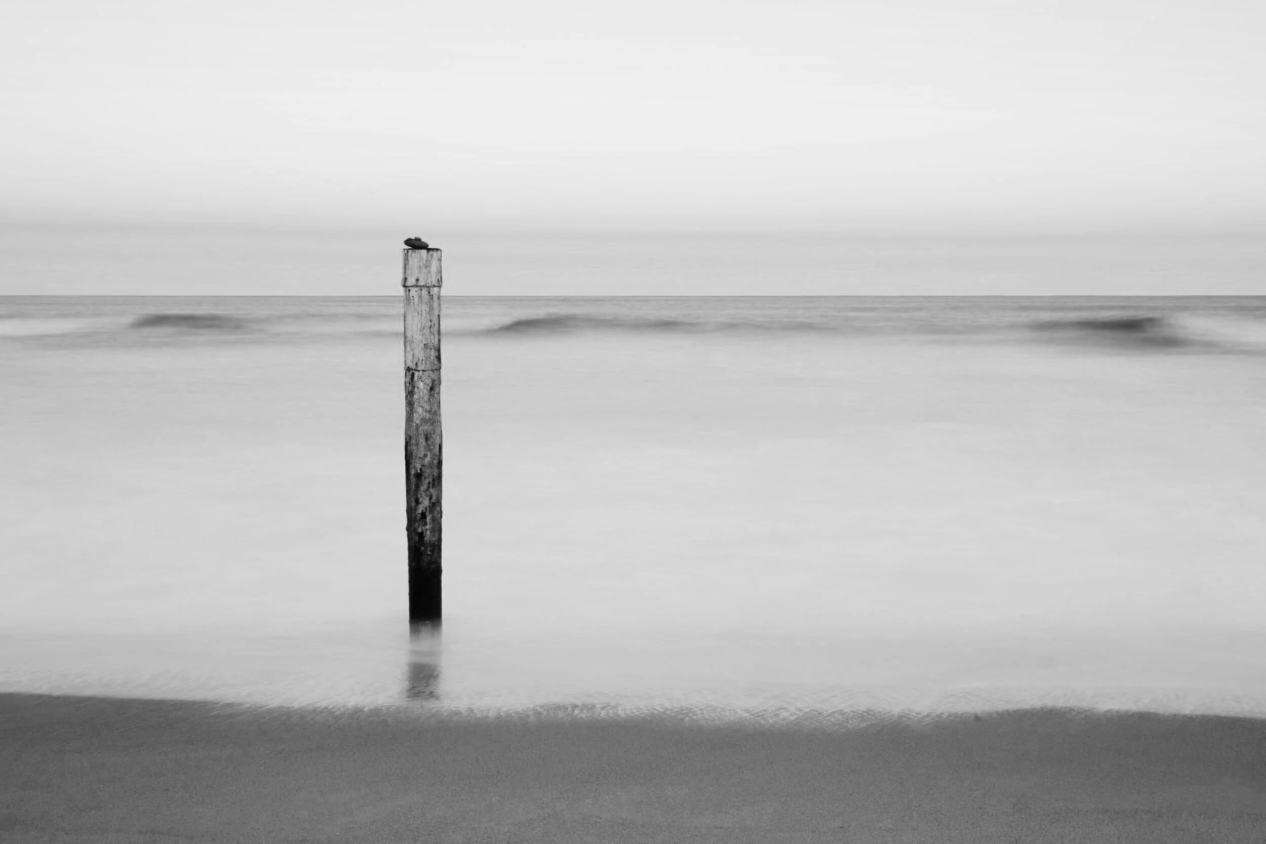 Why Have You Forsaken Me?