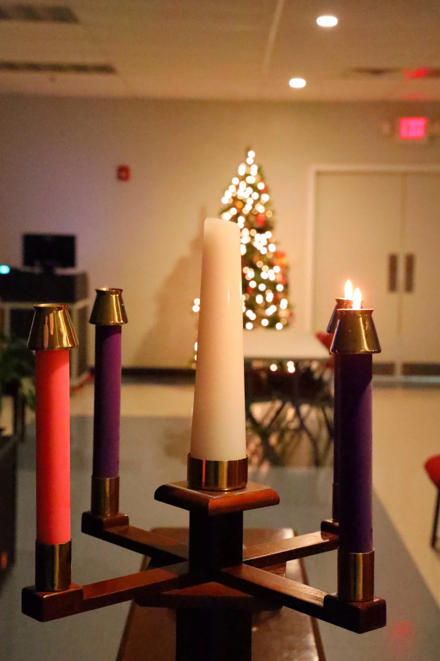 The Light Leading Us Home