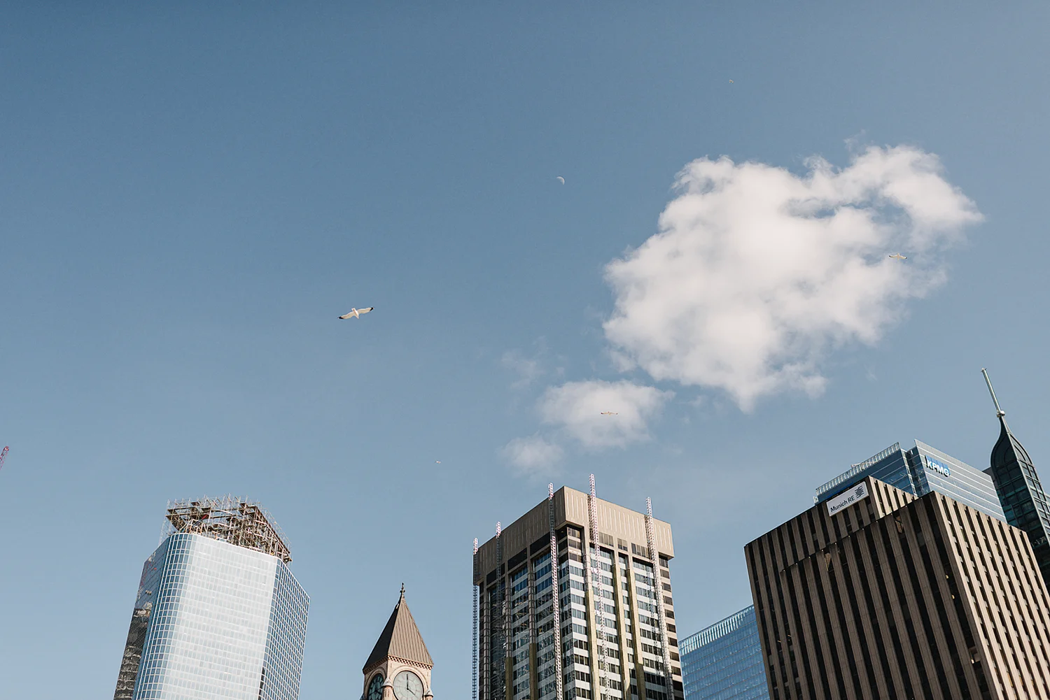 toronto-city-hall-elopement-wedding-old-city-hall-nathan-phillips-square-toronto-wedding-photographer-ryanne-hollies-photography-how-to-elope-in-toronto-buildings-birds-landscape.jpg