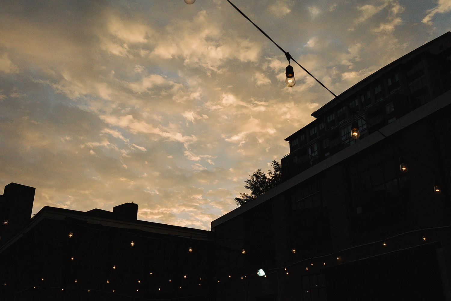 torontos-best-wedding-photographers-ryanne-hollies-photography-photojournalism-artistic-moody-toronto-airship37-graffiti-editorial-reception-outdoor-details-sunset-urban-string-lights-moody.jpg