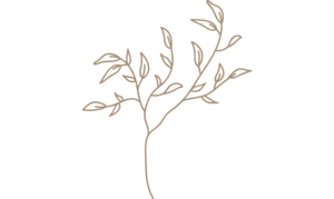 brown-wild-foliage-blog.png