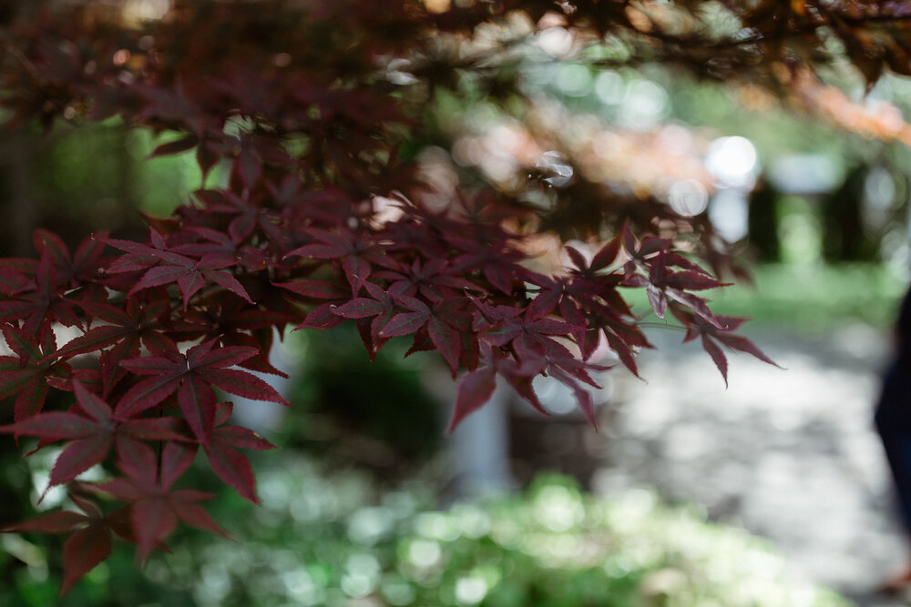 51-Madsens-Garden-Wedding-Newmarket-Toronto-Photographer-107.jpg