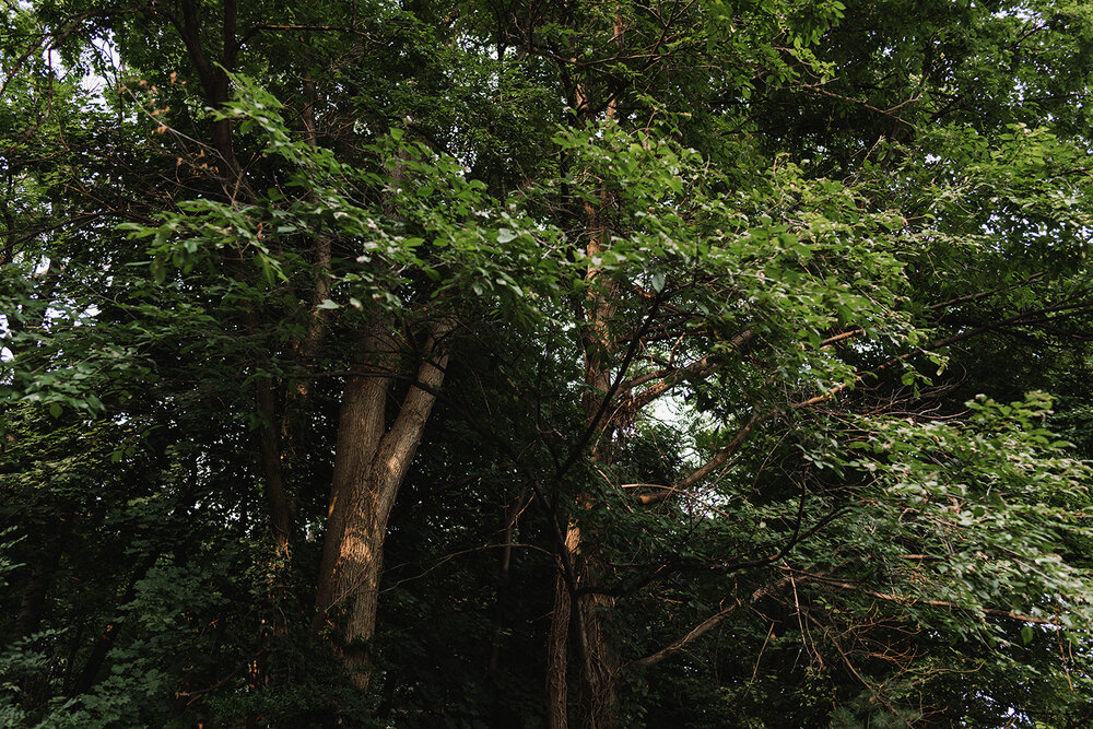 engagement-location-ideas-toronto-casa-loma-spadina-house-engagement-session-elopement-photographer-2.jpg