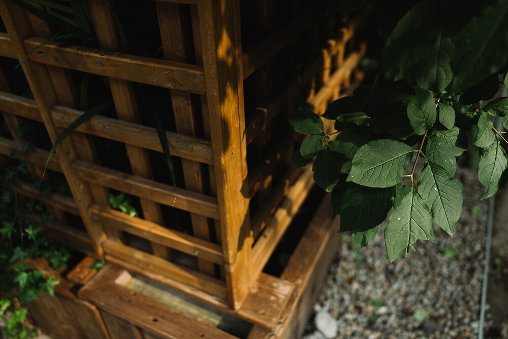 engagement-location-ideas-toronto-casa-loma-spadina-house-engagement-session-elopement-photographer-29.jpg