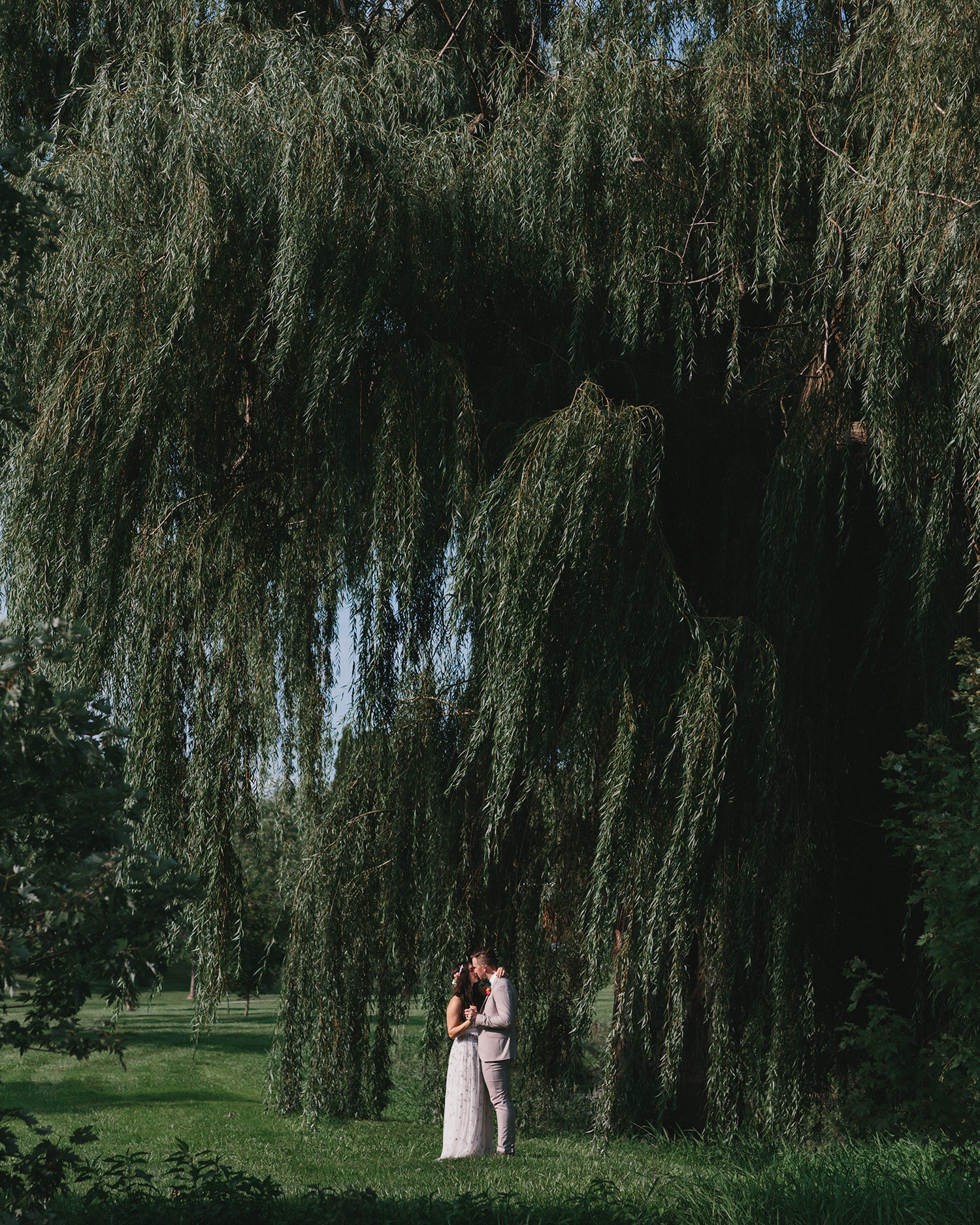 micro-wedding-backyard-family-only-elopement-rural-ontario-chatham-kent-london-best-film-wedding-photographer-34.PNG