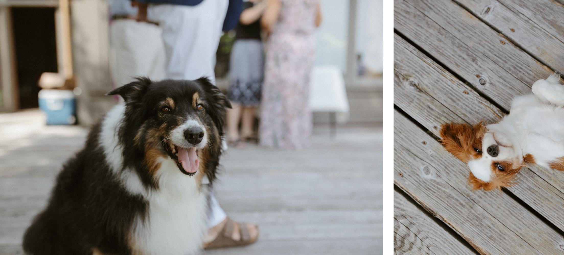 Georgian-Bay-Private-Island-Wedding-Inspiration-Ideas-Cottage-Elopement-Photography-16.PNG