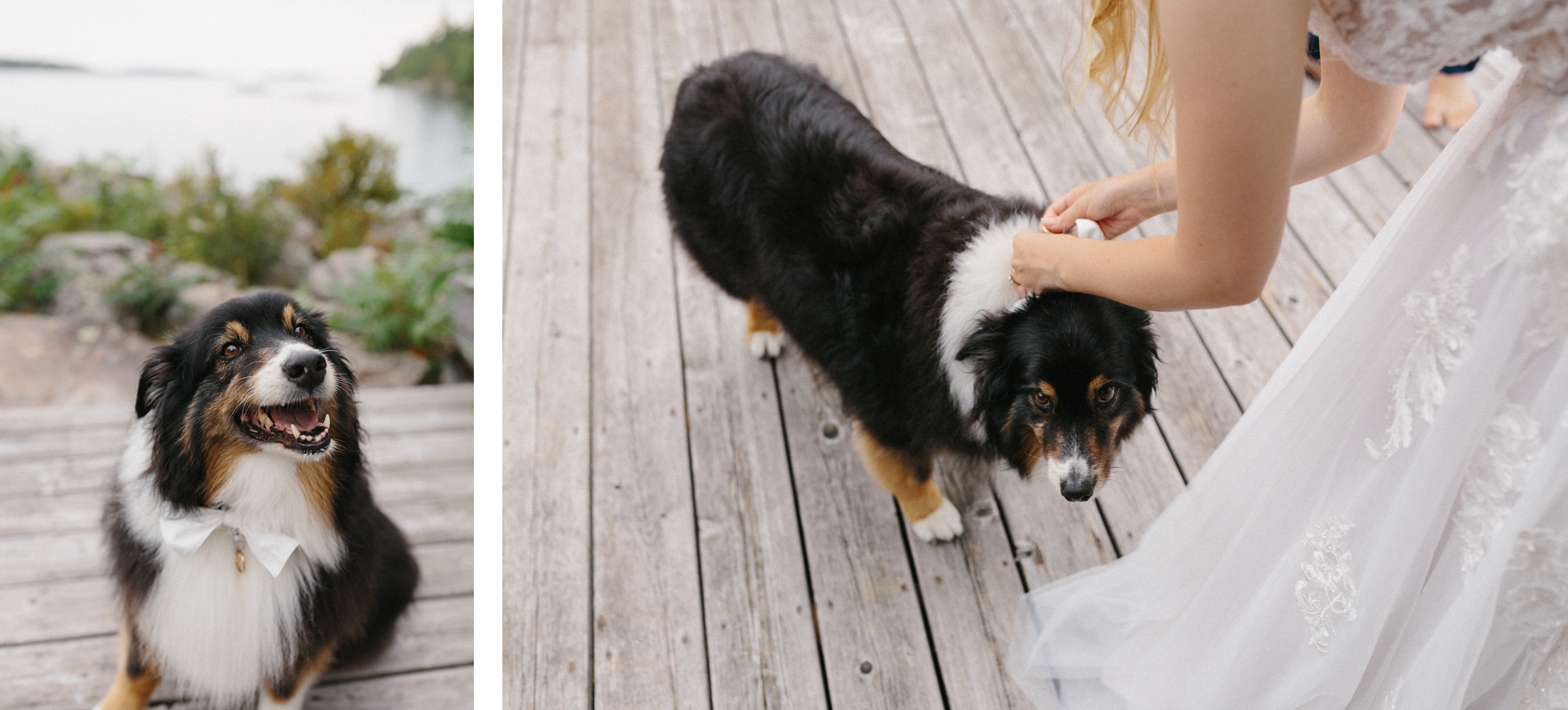 Georgian-Bay-Private-Island-Wedding-Inspiration-Ideas-Cottage-Elopement-Photography-47.PNG