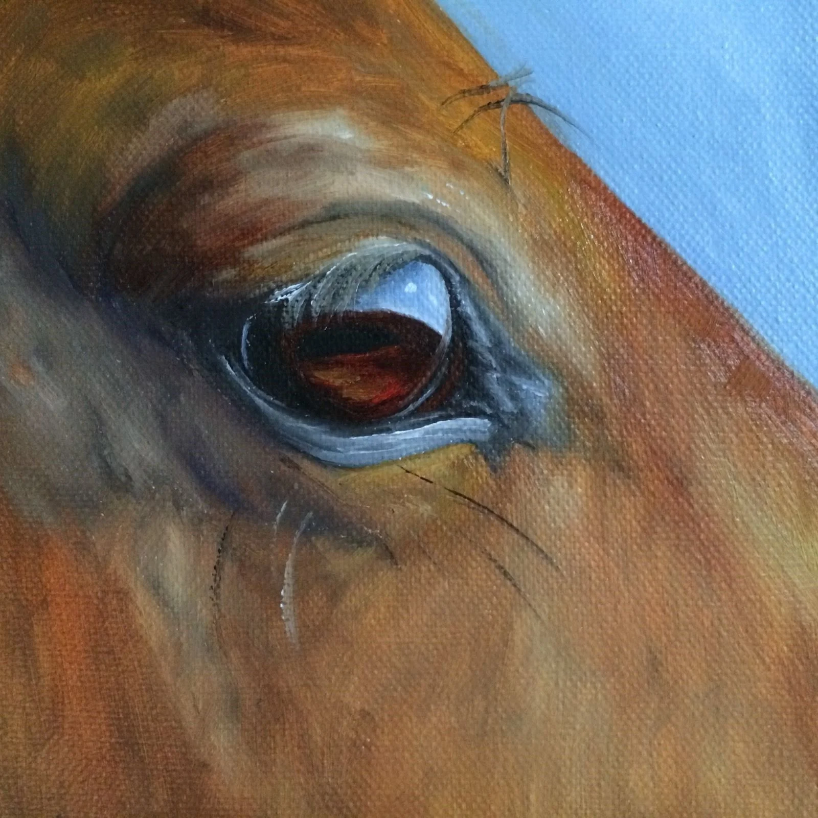 Thoroughbred Soul