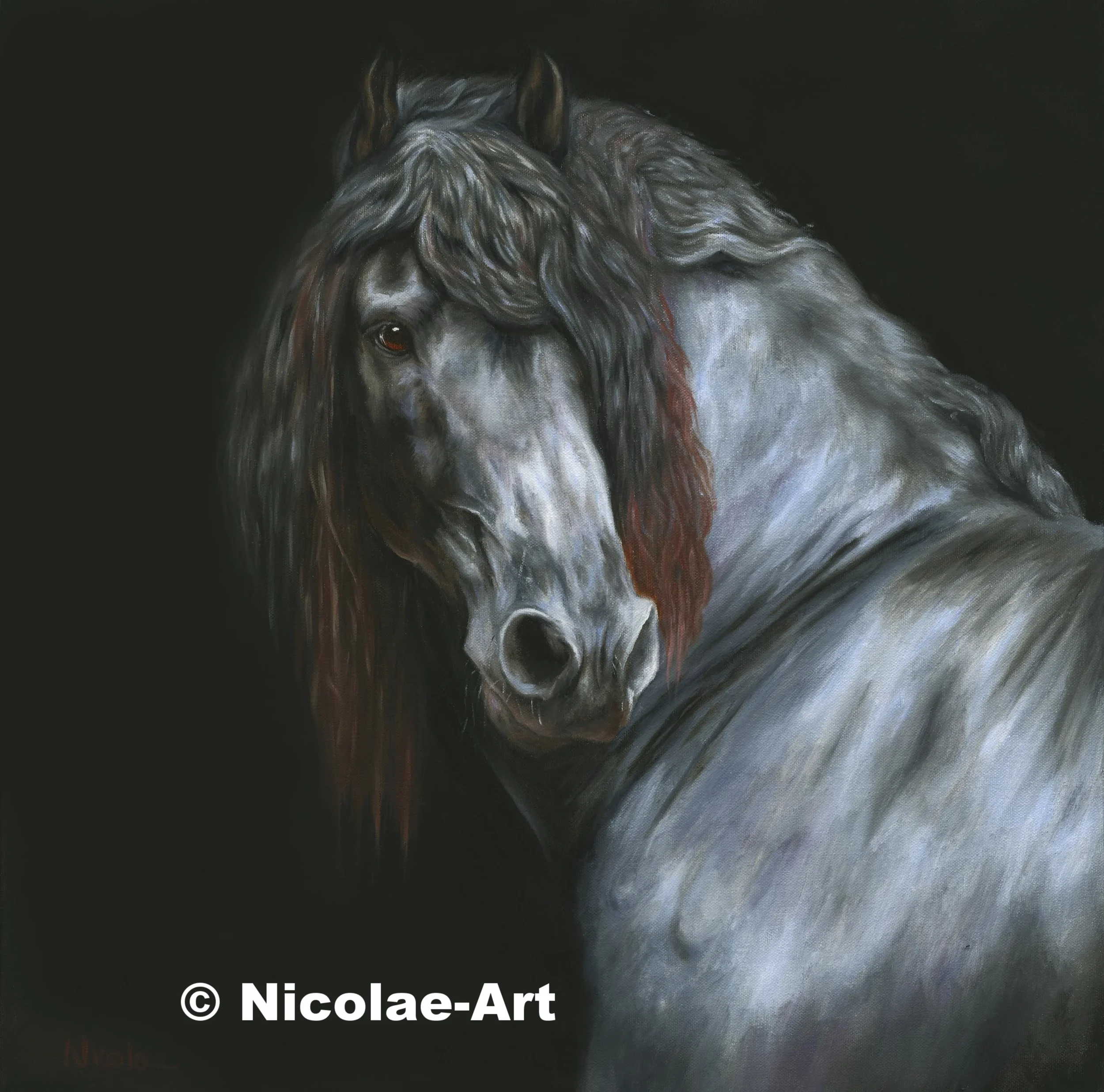 Friesian Portrait