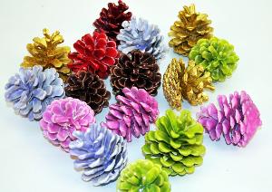 small-pine-cones.jpg