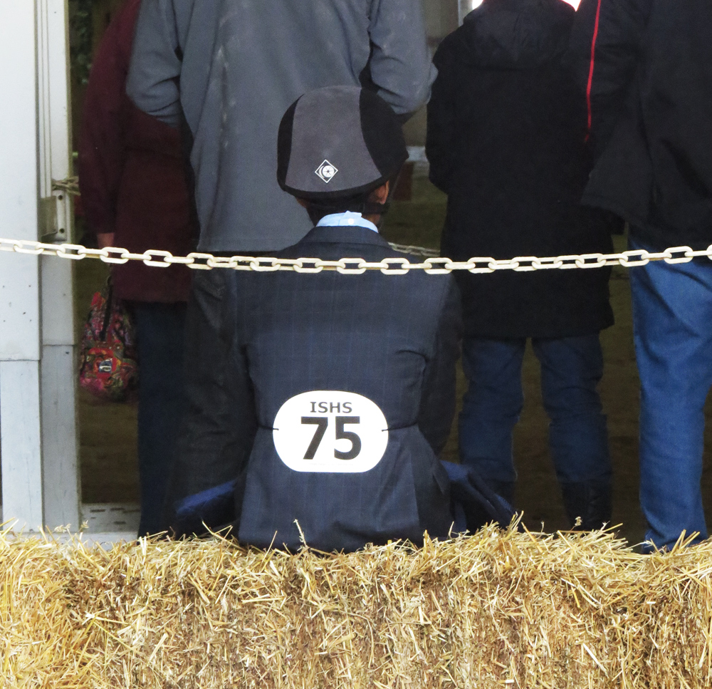 1-8 riders per team can compete in each show