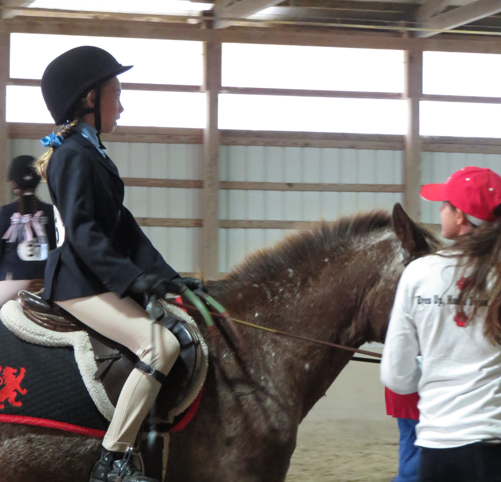 Display your school spirit on your saddle pad! 
