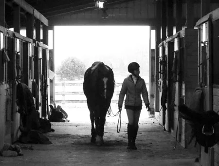 1-8 riders per team can compete in each show