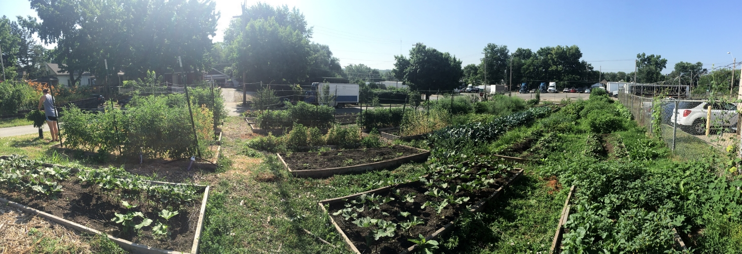 Urban Farming Guys Garden