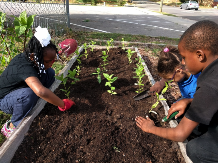 birmingham-urban-garden-kids-planting