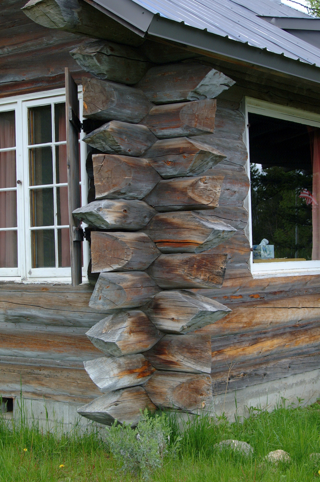 Log Detail.JPG