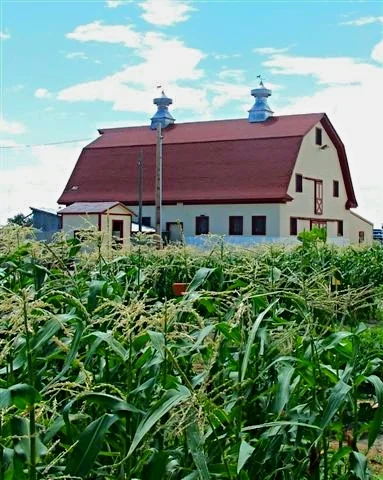 Barn