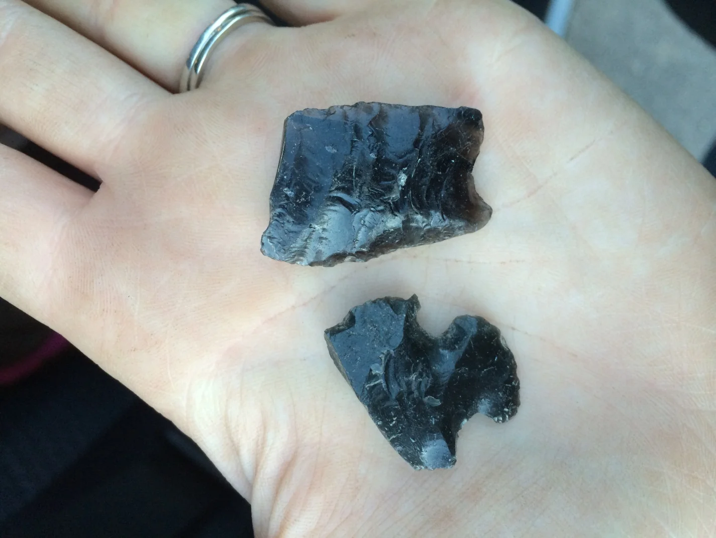 This photo shows two artifacts found at the Jenny Lake site. These projectile points are made of obsidian, a volcanic glass easily accessible in Teton and great for flintknapping.