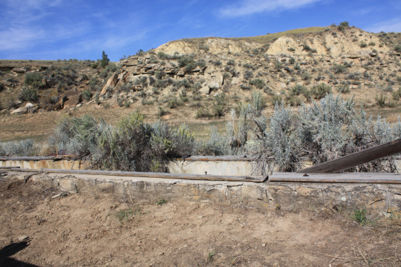 Bovine dipping pool