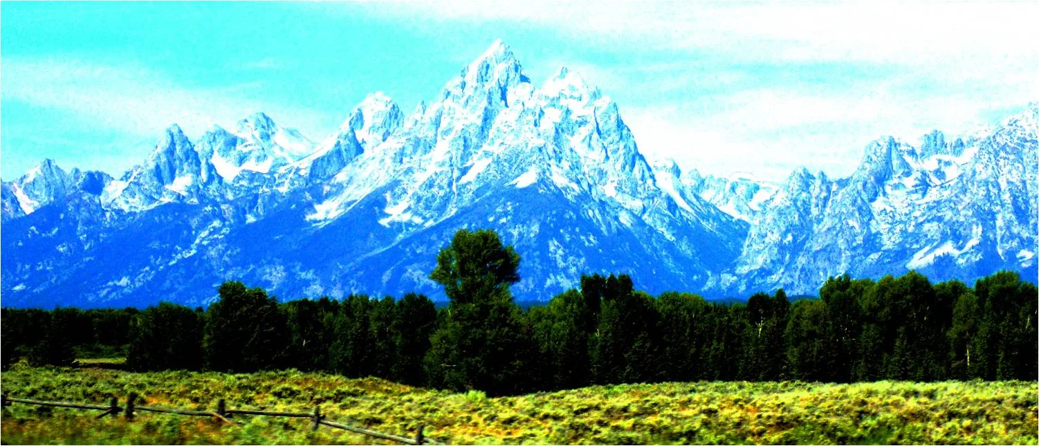 Stacy Whitman-Moore Preservationist Profile