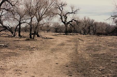 Child's Cuttoff, Casper, WY