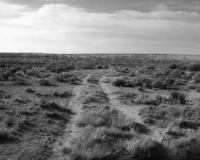 Ruts Willow Creek