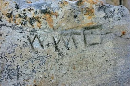 Signature Devil's Backbone