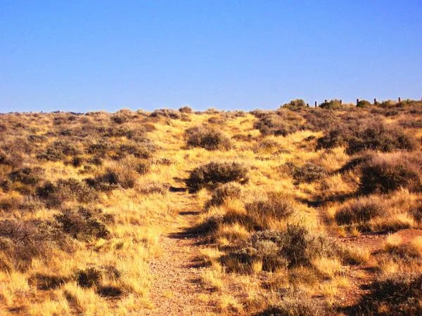 Swale outside of Douglas