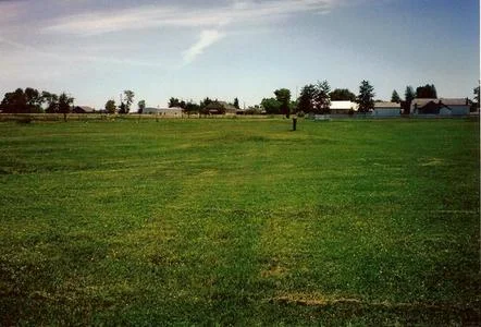 Trail swale, Ft. Bridger