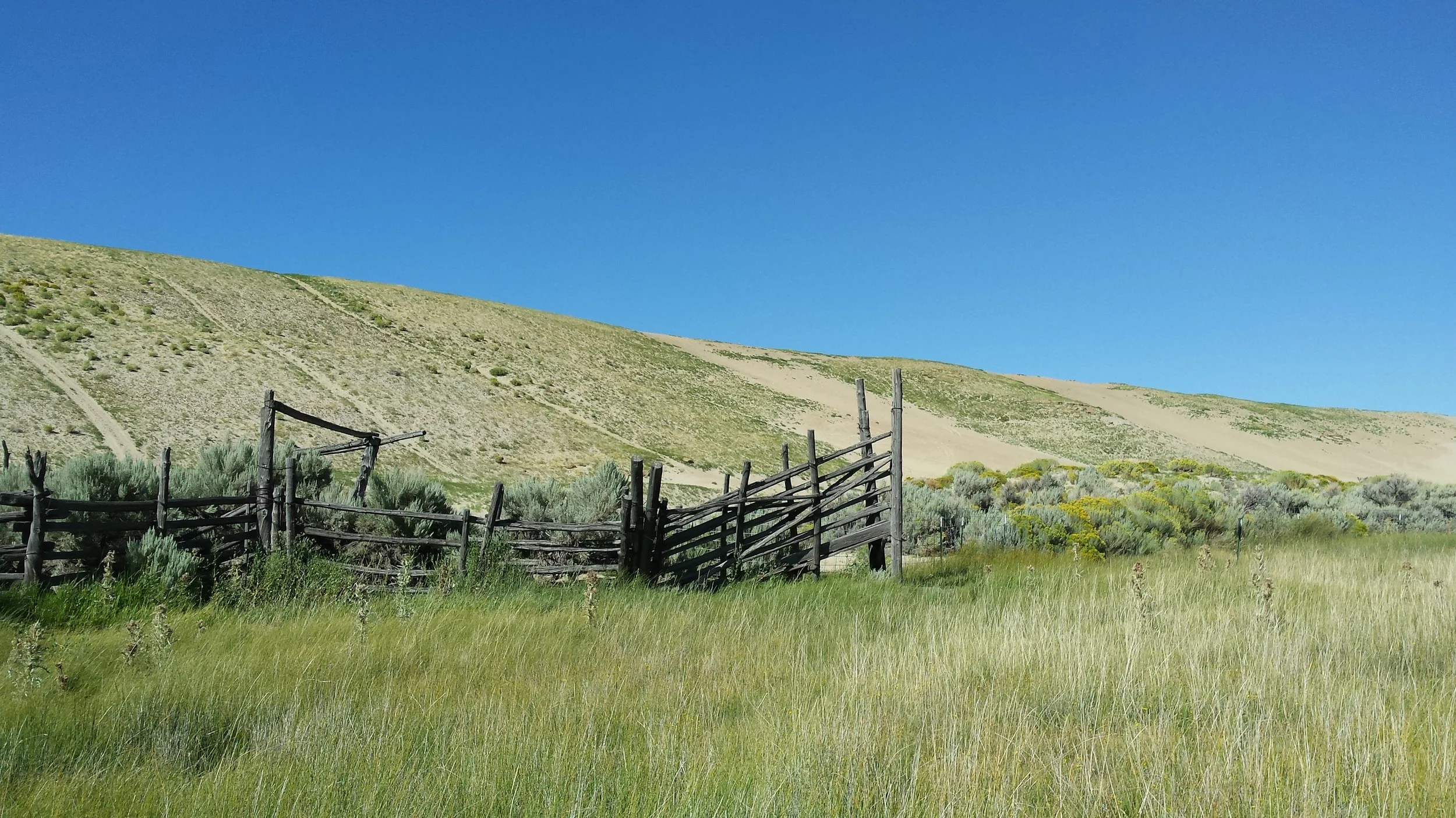 Corral with Killpecker Sand Dunes