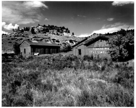 Photograph by Richard Collier