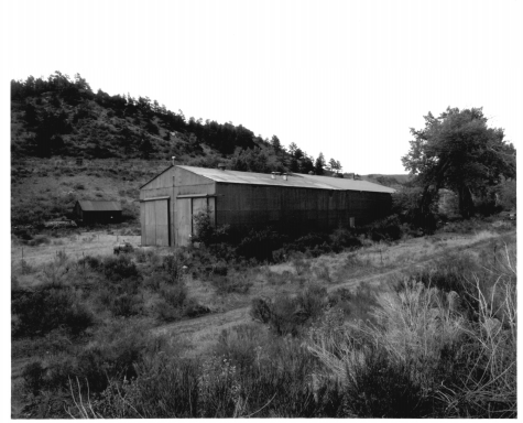 Photograph by Richard Collier 