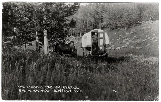 http://www.wyomingtalesandtrails.com/sheep2.html