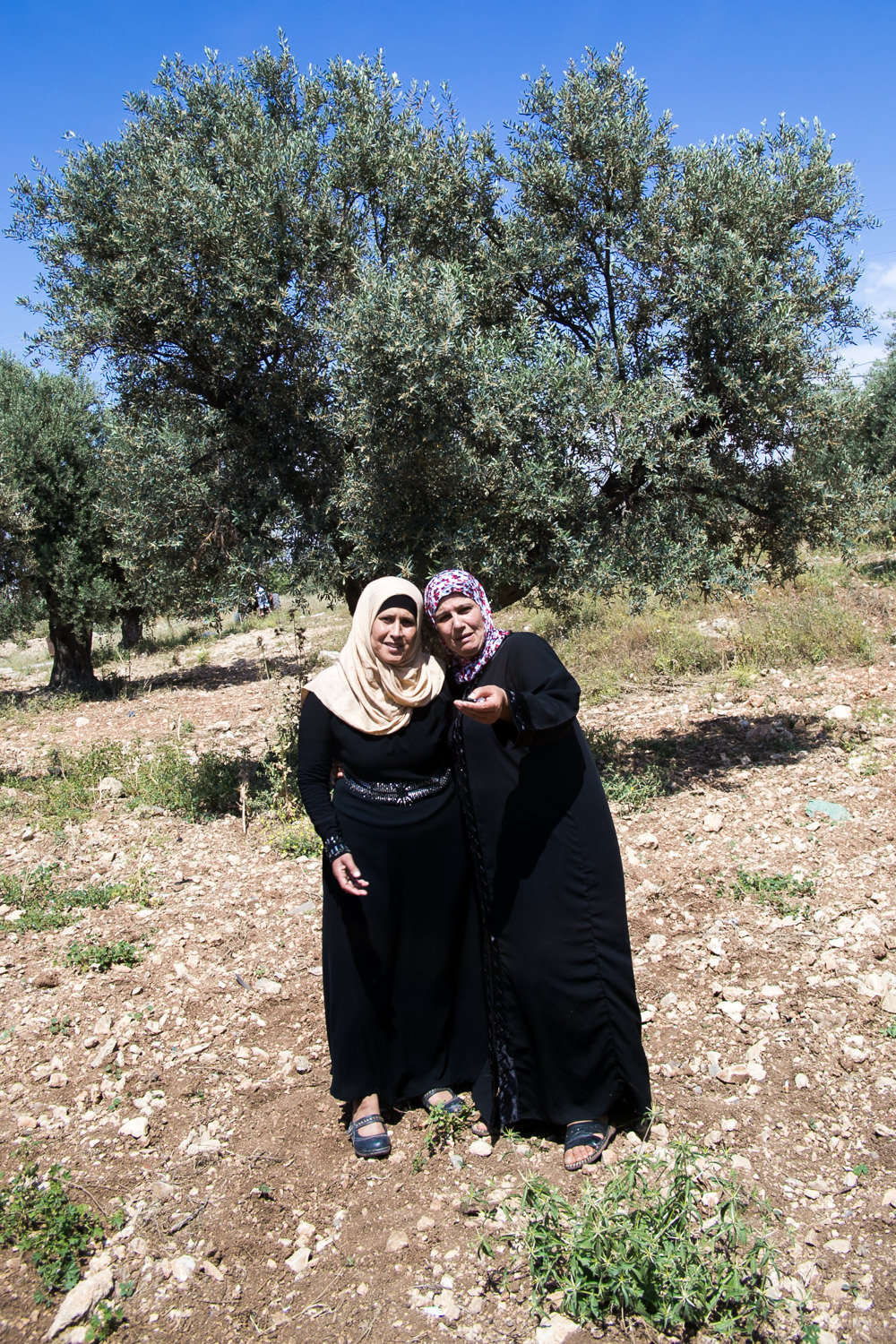 Gufran Badwie (left), Shafak Jarrar
