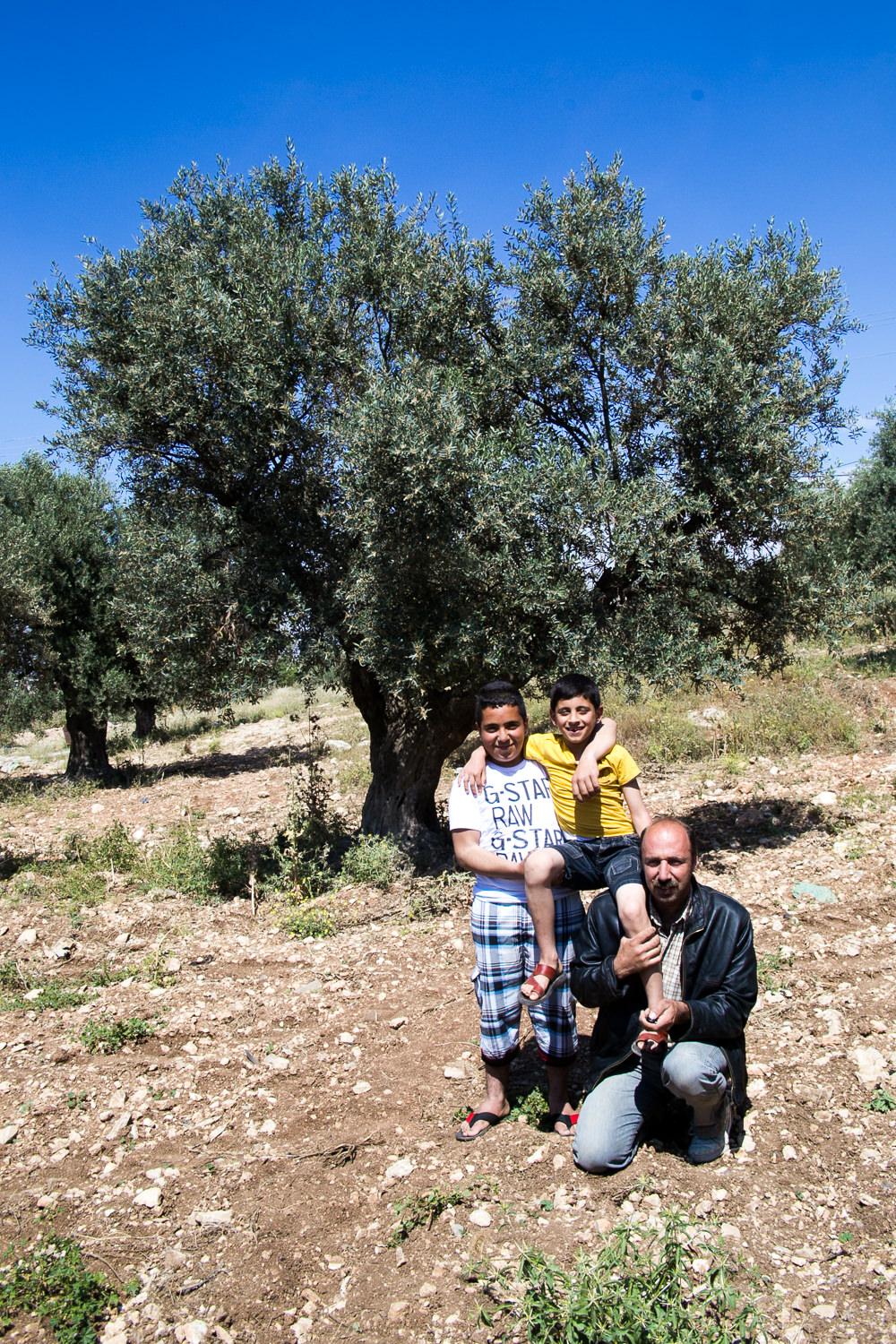 Ali Hindi, father. Sons: Ahmad Hindi (left), Mahoud Ali Hindi