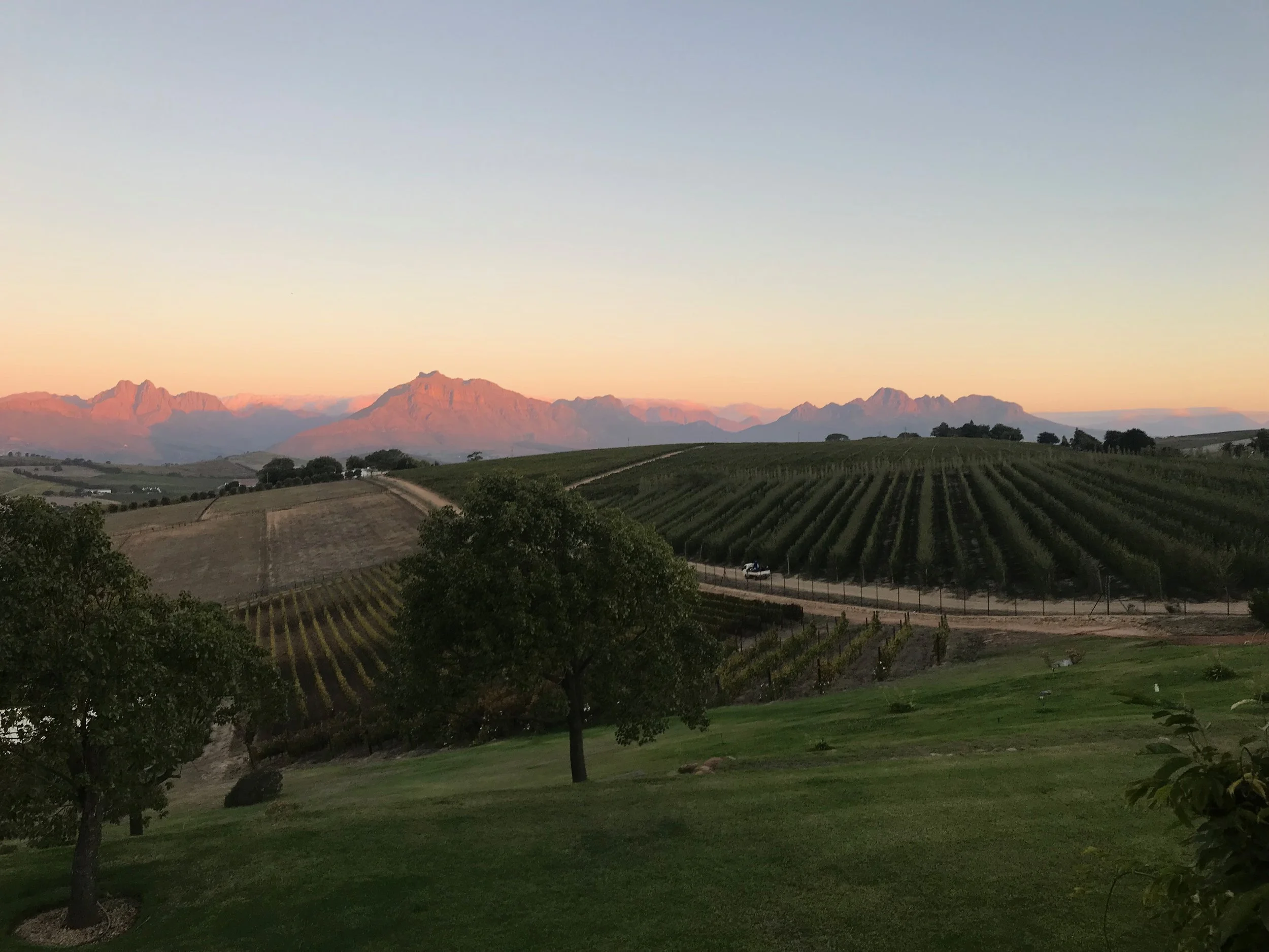 A glimpse of the stunning winelands in Stellenbosch.