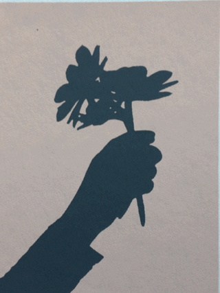 Late Day Bouquet (GIF)