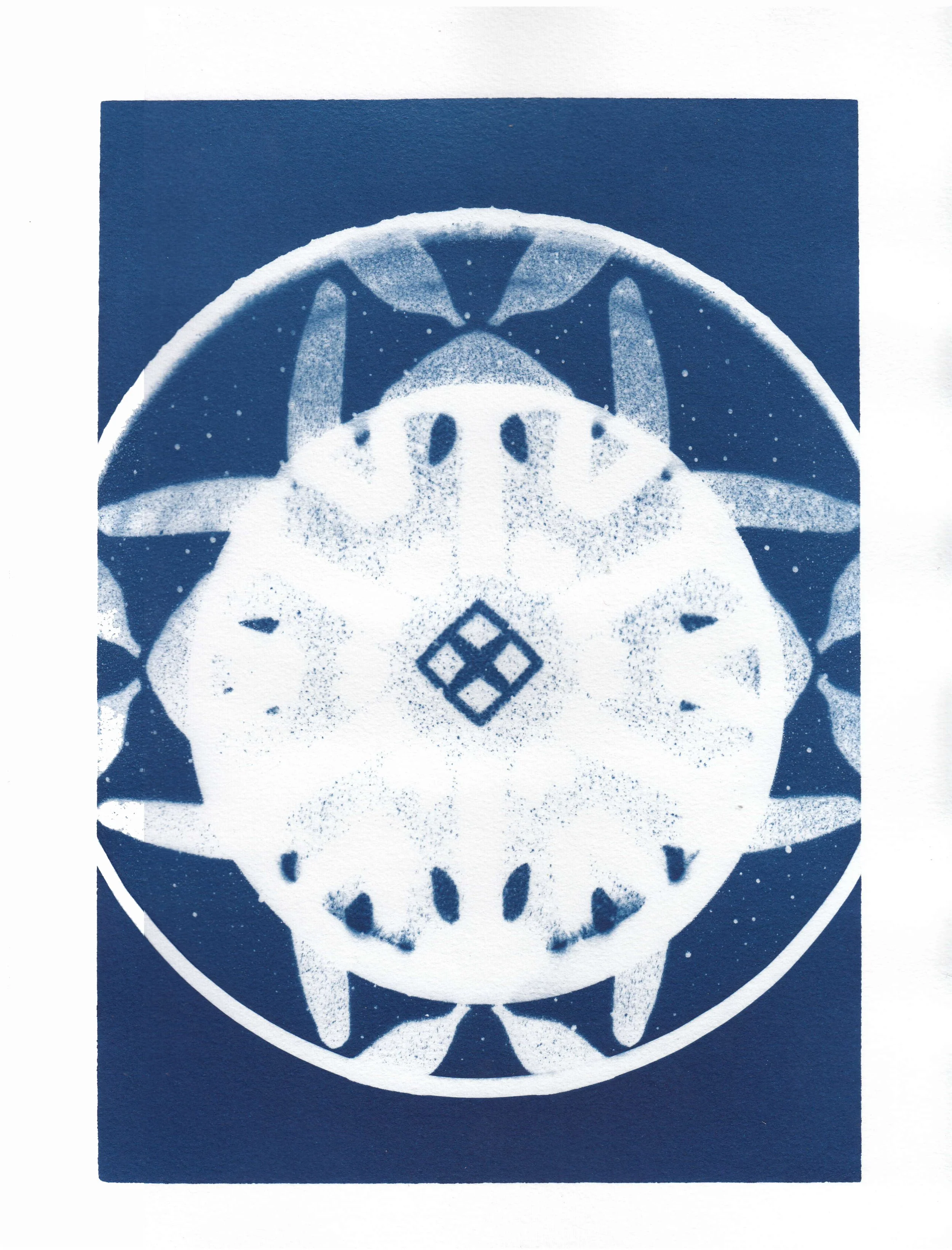 05_Cyanotype.jpg