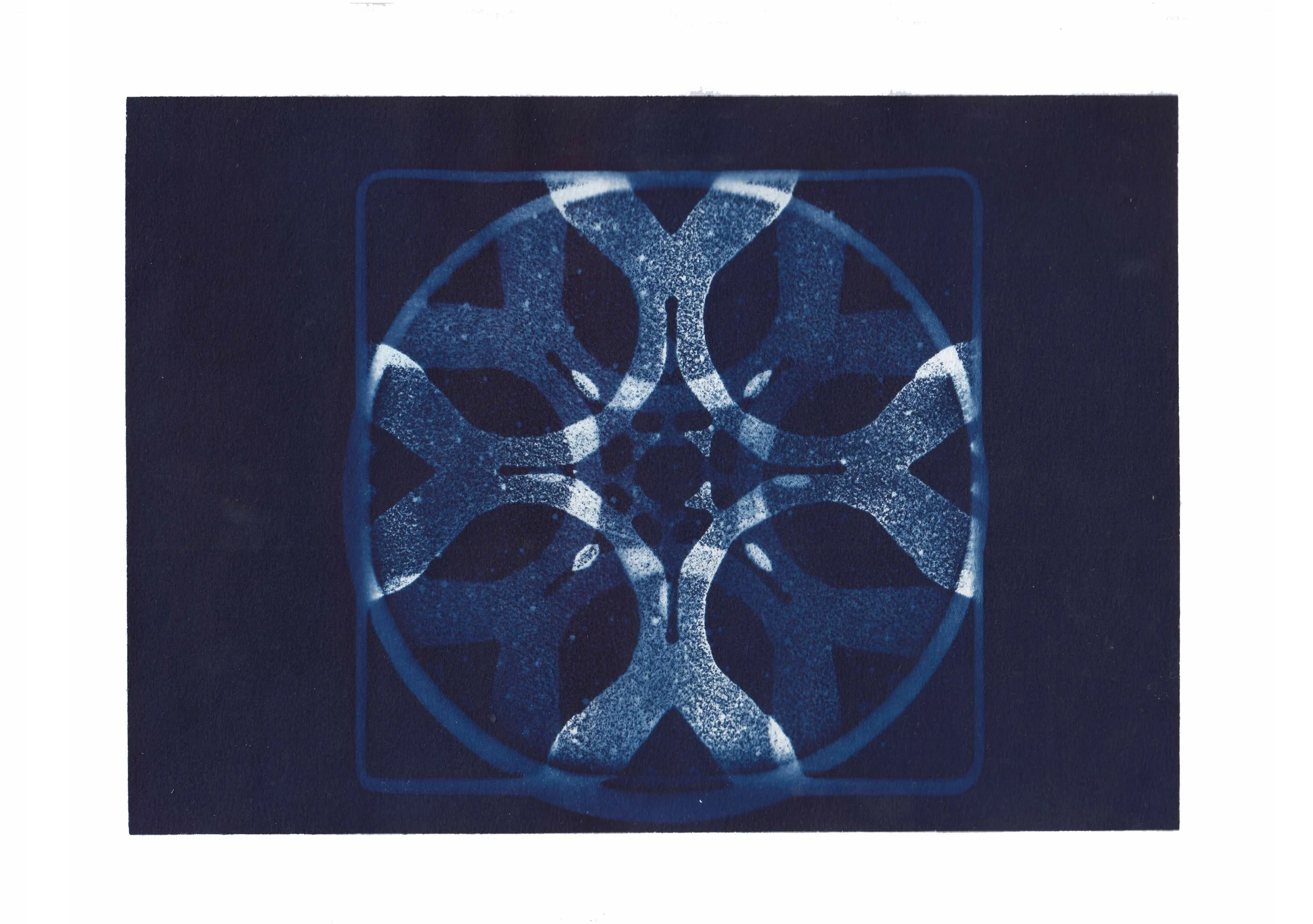 02_Cyanotypes.jpg
