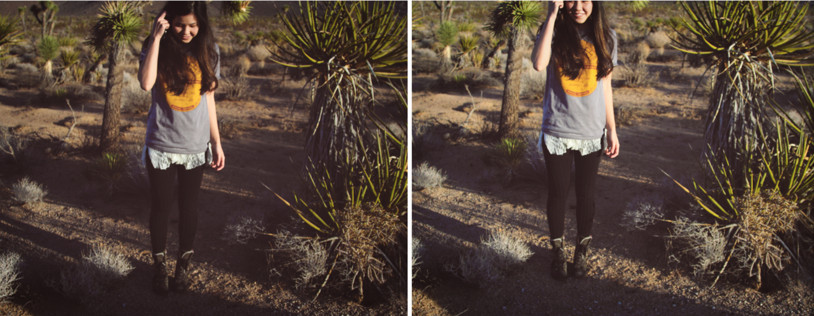 jaclynsue.com joshuatree19.png