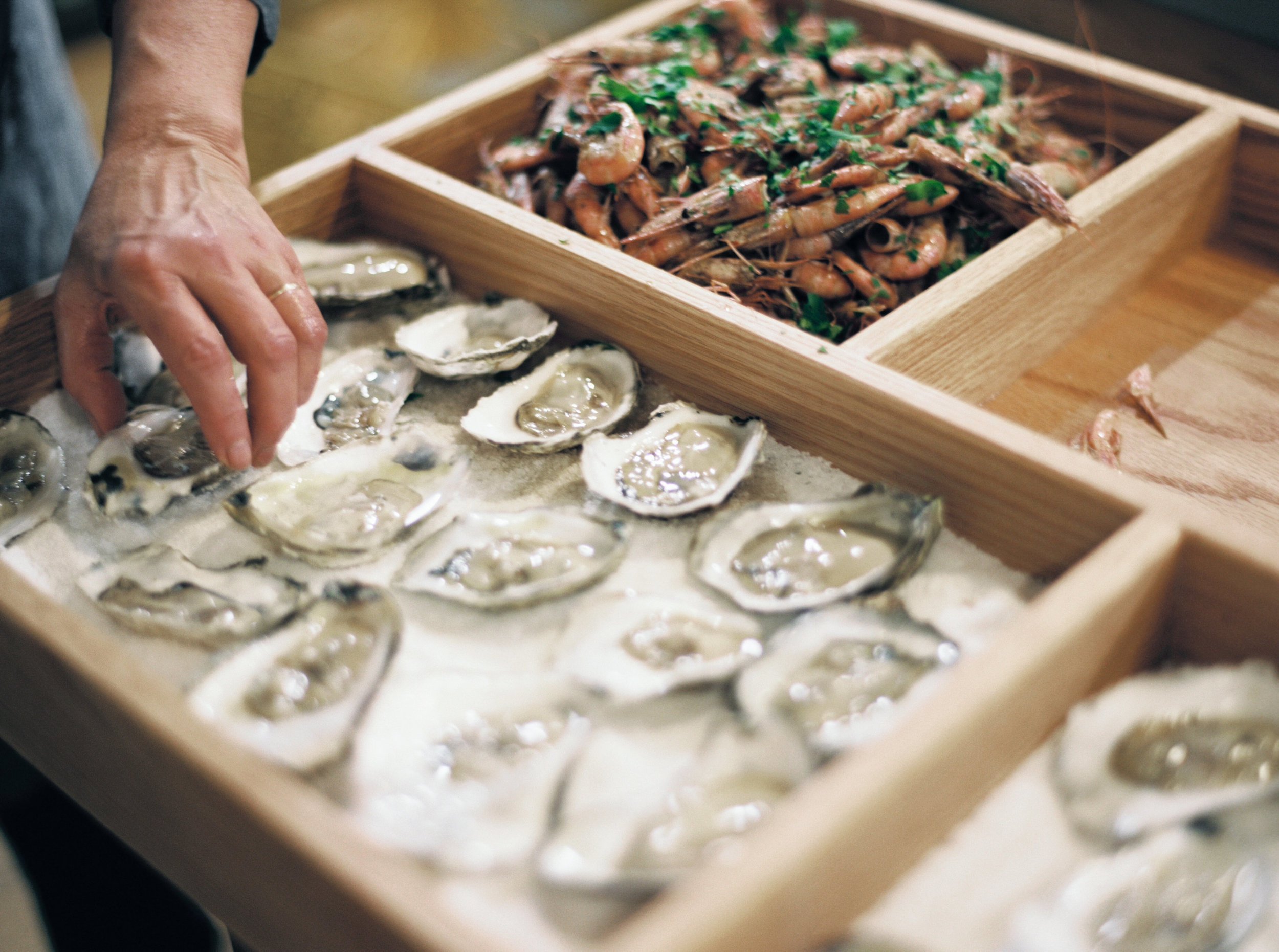 Giant Bento Box for Uncommon Feasts